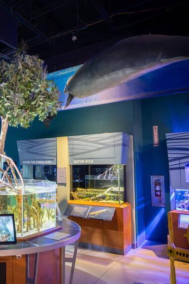 Cox Science Center and Aquarium
